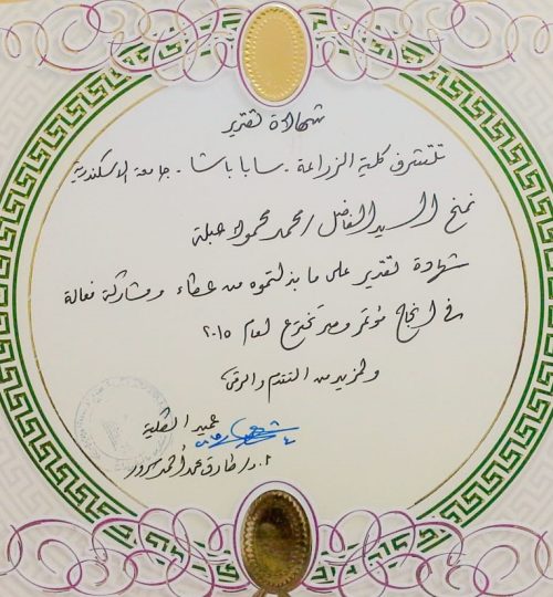 مصر 11