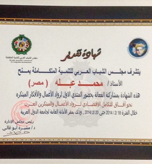 مصر 2